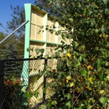 PARABOLIC TENNIS WALL5